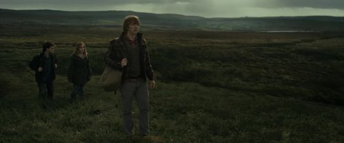 Click to view full size image
==============
RdM1-Potterish10998.jpg RdM1-Potterish10998.jpg