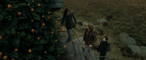 RdM1-Potterish11026.jpg