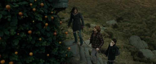 Click to view full size image
==============
RdM1-Potterish11027.jpg RdM1-Potterish11027.jpg