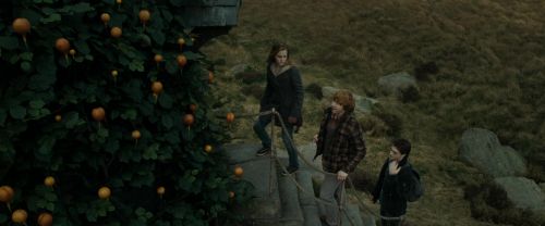 Click to view full size image
==============
RdM1-Potterish11028.jpg RdM1-Potterish11028.jpg
