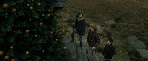 RdM1-Potterish11029.jpg