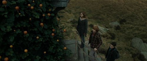 Click to view full size image
==============
RdM1-Potterish11031.jpg RdM1-Potterish11031.jpg