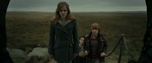 RdM1-Potterish11050.jpg