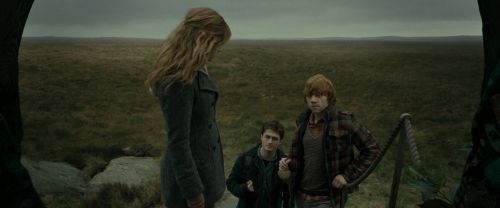 RdM1-Potterish11057.jpg