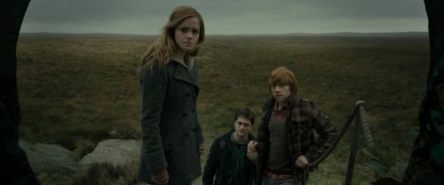 RdM1-Potterish11058.jpg