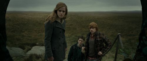 Click to view full size image
==============
RdM1-Potterish11059.jpg RdM1-Potterish11059.jpg