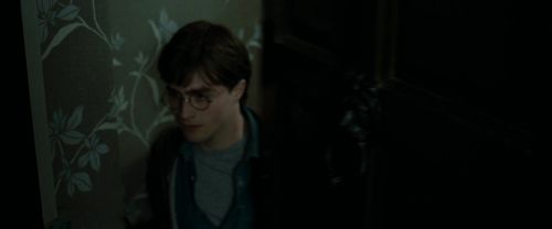 RdM1-Potterish1106.jpg