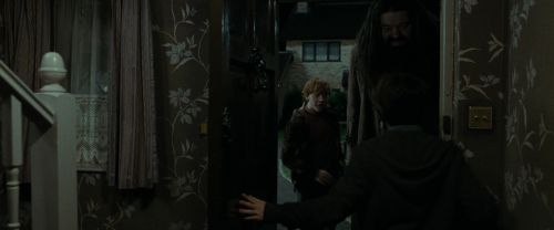 RdM1-Potterish1110.jpg