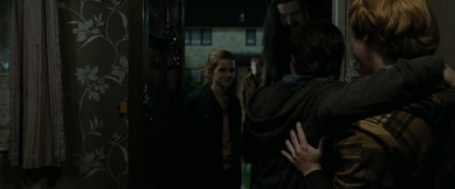 RdM1-Potterish1114.jpg