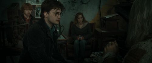 RdM1-Potterish11163.jpg