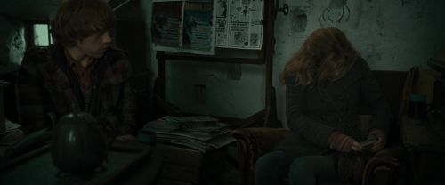 RdM1-Potterish11192.jpg