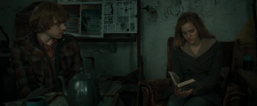 RdM1-Potterish11201.jpg