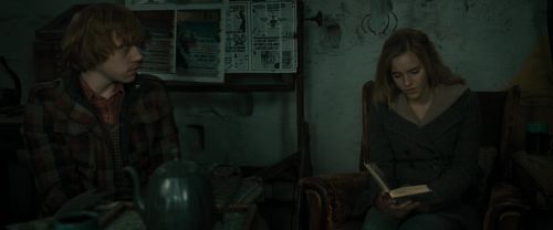 RdM1-Potterish11206.jpg