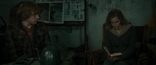 RdM1-Potterish11212.jpg