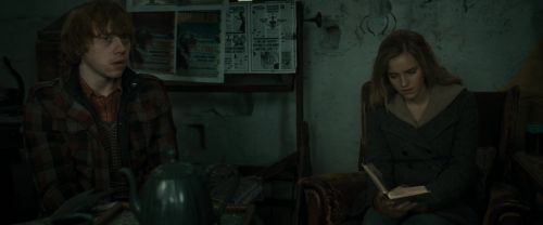 RdM1-Potterish11218.jpg
