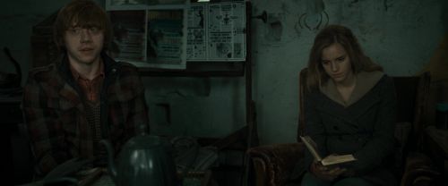 RdM1-Potterish11220.jpg