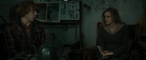 RdM1-Potterish11230.jpg
