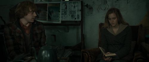 RdM1-Potterish11236.jpg