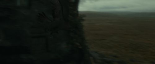 Click to view full size image
==============
RdM1-Potterish11247.jpg RdM1-Potterish11247.jpg