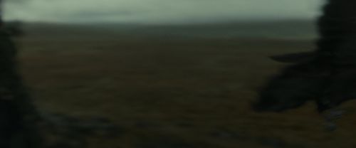 RdM1-Potterish11248.jpg