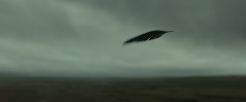 Click to view full size image
==============
RdM1-Potterish11250.jpg RdM1-Potterish11250.jpg