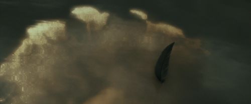 Click to view full size image
==============
RdM1-Potterish11264.jpg RdM1-Potterish11264.jpg