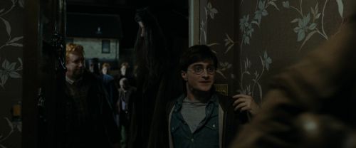 RdM1-Potterish1128.jpg