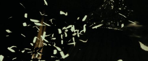 RdM1-Potterish11507.jpg