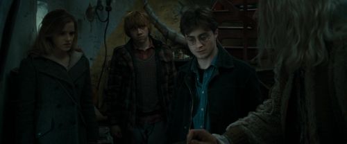 RdM1-Potterish11699.jpg