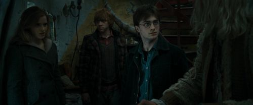 RdM1-Potterish11710.jpg