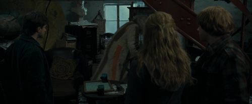 RdM1-Potterish11746.jpg