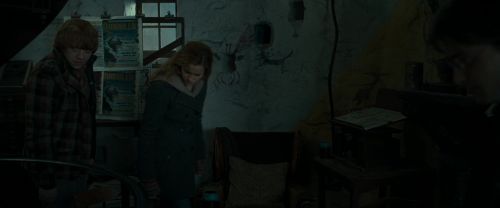 RdM1-Potterish11752.jpg