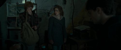 RdM1-Potterish11758.jpg