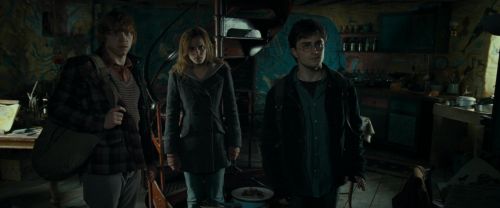 RdM1-Potterish11858.jpg