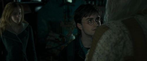 RdM1-Potterish11881.jpg