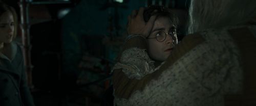 RdM1-Potterish11887.jpg
