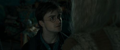 RdM1-Potterish11909.jpg