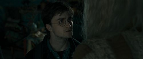 RdM1-Potterish11910.jpg