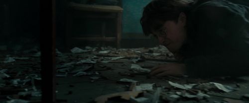 RdM1-Potterish11943.jpg