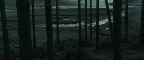 Click to view full size image
==============
RdM1-Potterish11964.jpg RdM1-Potterish11964.jpg
