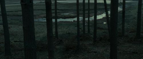 RdM1-Potterish11966.jpg