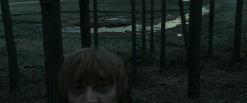 RdM1-Potterish11967.jpg