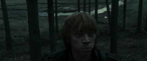 Click to view full size image
==============
RdM1-Potterish11968.jpg RdM1-Potterish11968.jpg