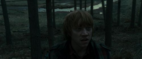 Click to view full size image
==============
RdM1-Potterish11969.jpg RdM1-Potterish11969.jpg