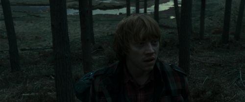 Click to view full size image
==============
RdM1-Potterish11970.jpg RdM1-Potterish11970.jpg