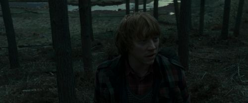 RdM1-Potterish11971.jpg