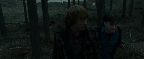 RdM1-Potterish11973.jpg