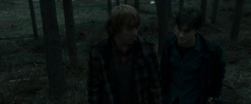 RdM1-Potterish11975.jpg