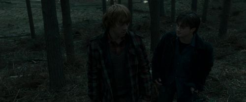 RdM1-Potterish11978.jpg