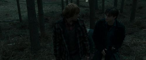 RdM1-Potterish11979.jpg
